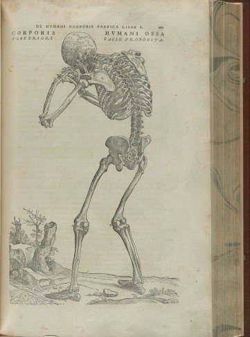 One of Vesalius' Fabrica skeletons at prayer